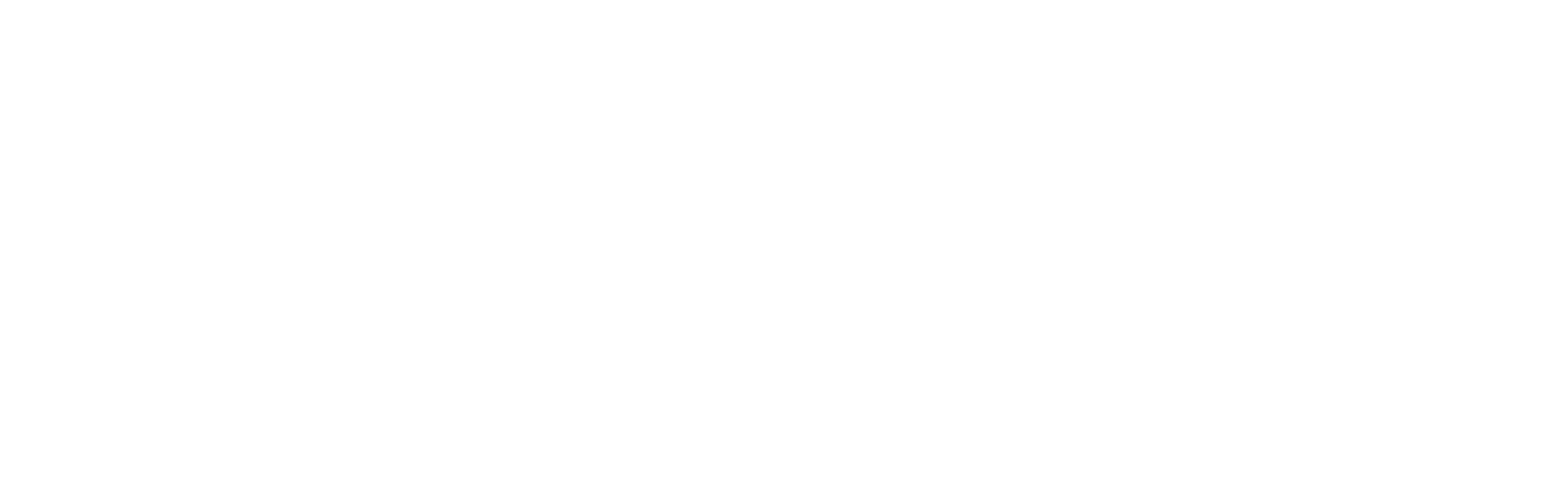 ISI Professional Services